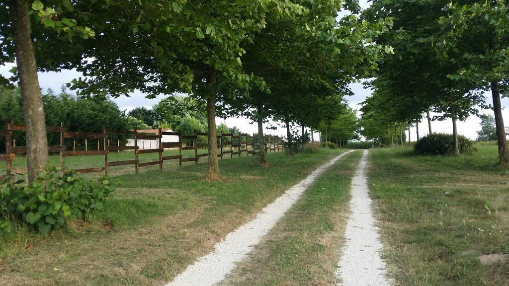 ホテル Domaine Terroceane La-Gripperie-Saint-Symphorien エクステリア 写真